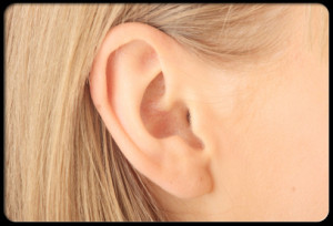 ear